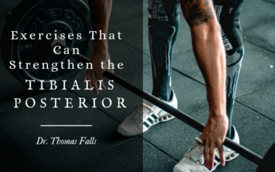 Exercises That Can Strengthen the Tibialis Posterior